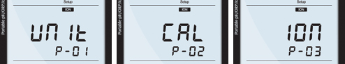 Portable Ion Meter